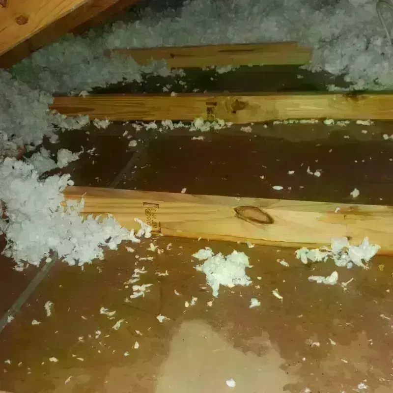 Attic Water Damage in Turlock, CA