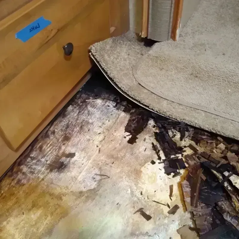 Wood Floor Water Damage in Turlock, CA